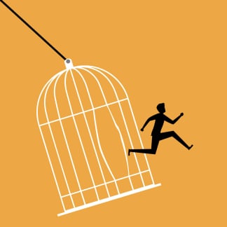 Freedom From Sense Cover Art